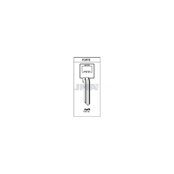 FTE-1E / 3OF